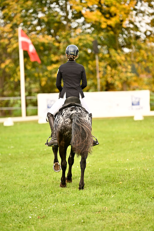 9-12.10.2025 Ströhen | Johanna Martha Liebergeld - Luis_22 