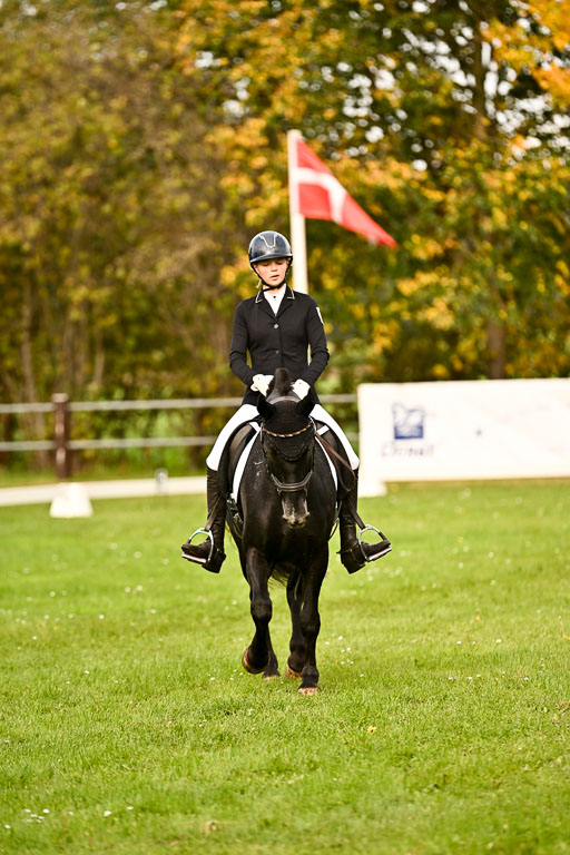9-12.10.2025 Ströhen | Johanna Martha Liebergeld - Luis_23 