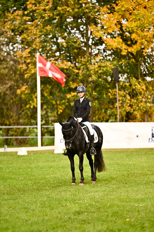 9-12.10.2025 Ströhen | Johanna Martha Liebergeld - Luis_24 