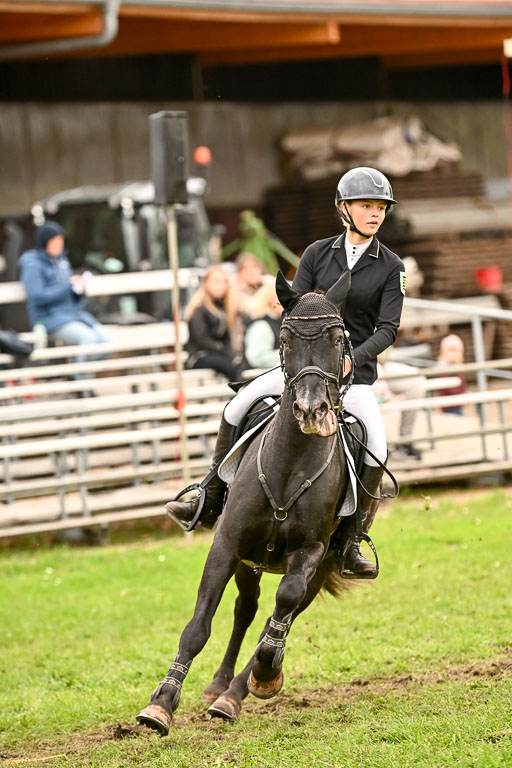 9-12.10.2025 Ströhen | Johanna Martha Liebergeld - Luis_40 