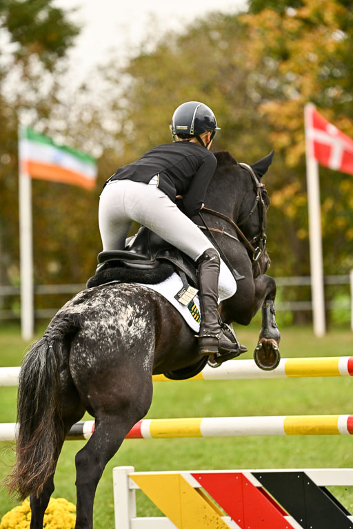 9-12.10.2025 Ströhen | Johanna Martha Liebergeld - Luis_42 