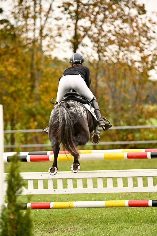 9-12.10.2025 Ströhen | Johanna Martha Liebergeld - Luis_43 