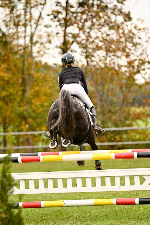 9-12.10.2025 Ströhen | Johanna Martha Liebergeld - Luis_44 