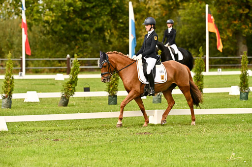 9-12.10.2025 Ströhen | Kelly, Elisabeth - Karina K _03 