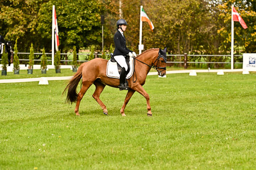 9-12.10.2025 Ströhen | Kelly, Elisabeth - Karina K _04 
