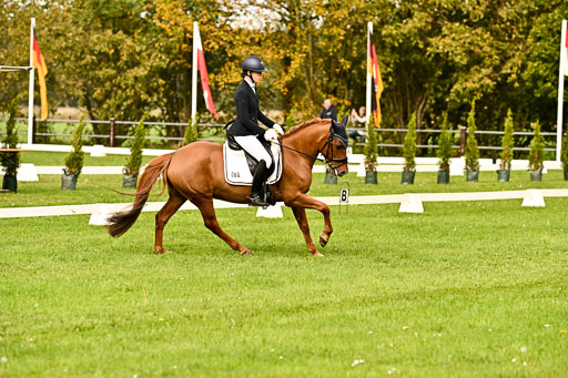 9-12.10.2025 Ströhen | Kelly, Elisabeth - Karina K _07 