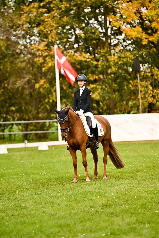 9-12.10.2025 Ströhen | Kelly, Elisabeth - Karina K _14 
