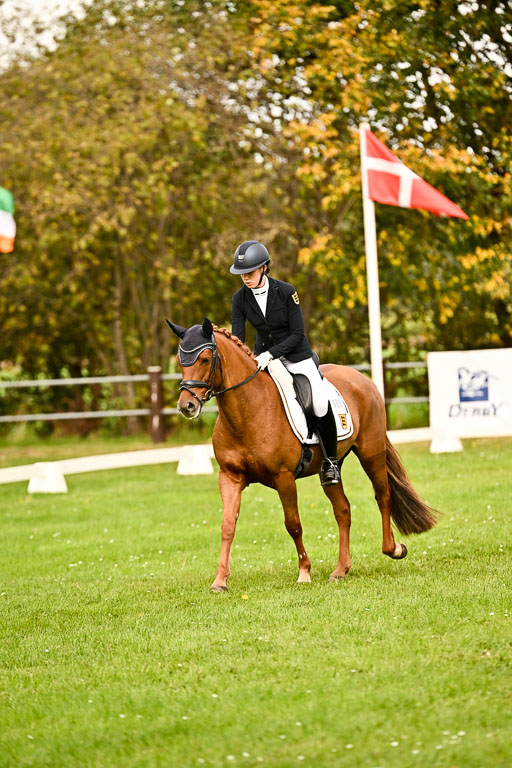 9-12.10.2025 Ströhen | Kelly, Elisabeth - Karina K _15 