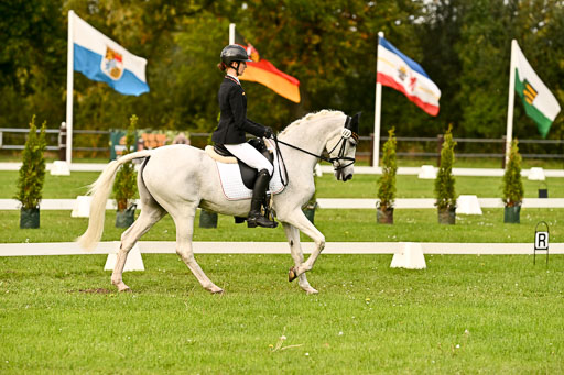 9-12.10.2025 Ströhen | Leowald, Theresa - Pearl _16 