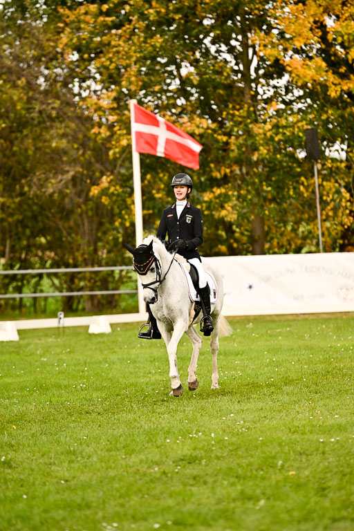9-12.10.2025 Ströhen | Leowald, Theresa - Pearl _30 