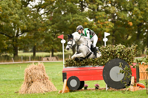 9-12.10.2025 Ströhen | Leowald, Theresa - Pearl _44 