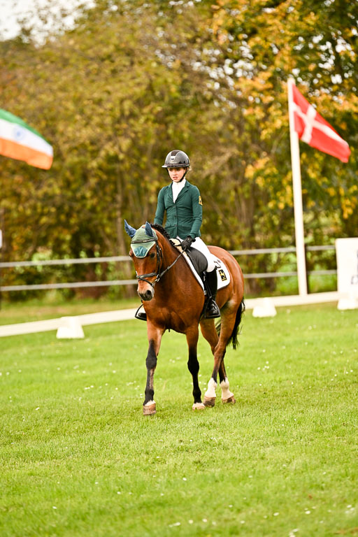 9-12.10.2025 Ströhen | Lina Marie Quast - Hennessy 