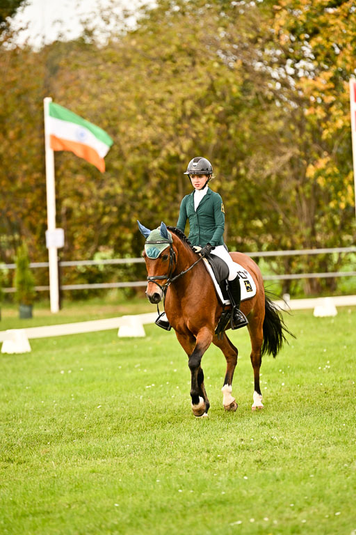 9-12.10.2025 Ströhen | Lina Marie Quast - Hennessy_01 