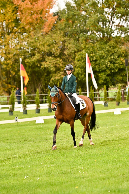 9-12.10.2025 Ströhen | Lina Marie Quast - Hennessy_02 