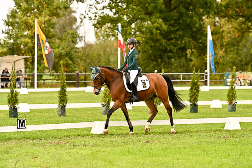 9-12.10.2025 Ströhen | Lina Marie Quast - Hennessy_07 