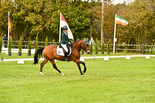 9-12.10.2025 Ströhen | Lina Marie Quast - Hennessy_08 