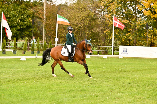 9-12.10.2025 Ströhen | Lina Marie Quast - Hennessy_09 