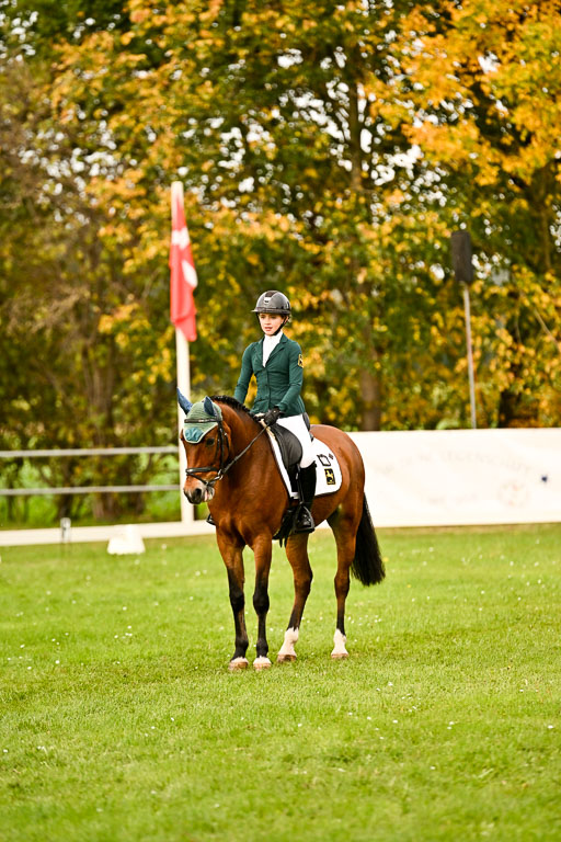 9-12.10.2025 Ströhen | Lina Marie Quast - Hennessy_15 