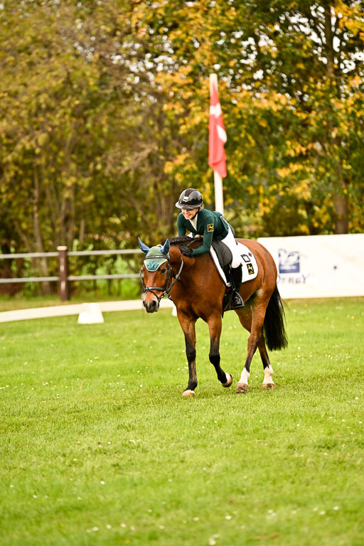 9-12.10.2025 Ströhen | Lina Marie Quast - Hennessy_16 