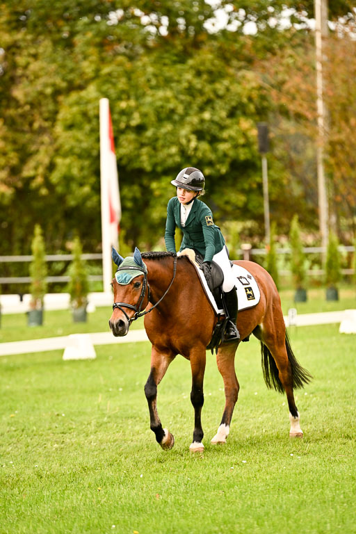 9-12.10.2025 Ströhen | Lina Marie Quast - Hennessy_19 