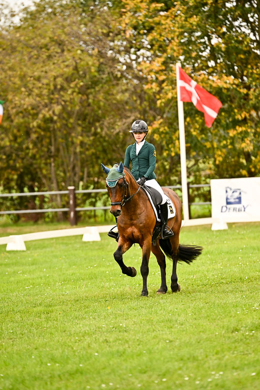 9-12.10.2025 Ströhen | Lina Marie Quast - Maruto _14 