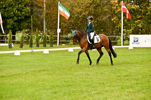 9-12.10.2025 Ströhen | Lina Marie Quast - Maruto _22 