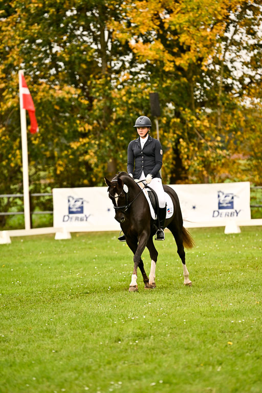 9-12.10.2025 Ströhen | Marlene Mühlenbeck - Starpower Tila 