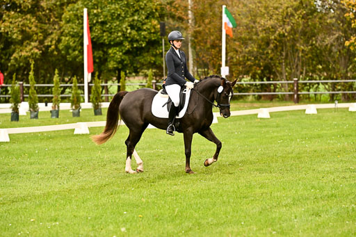 9-12.10.2025 Ströhen | Marlene Mühlenbeck - Starpower Tila_05 