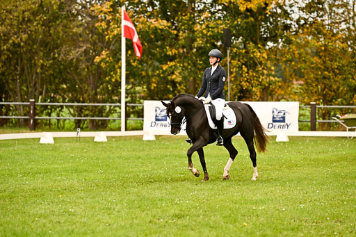 9-12.10.2025 Ströhen | Marlene Mühlenbeck - Starpower Tila_06 