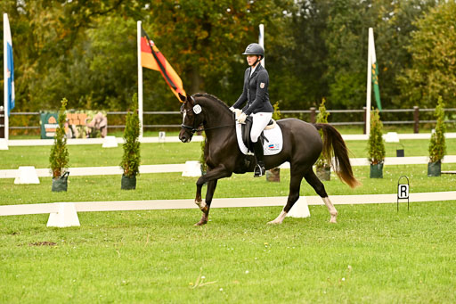 9-12.10.2025 Ströhen | Marlene Mühlenbeck - Starpower Tila_07 
