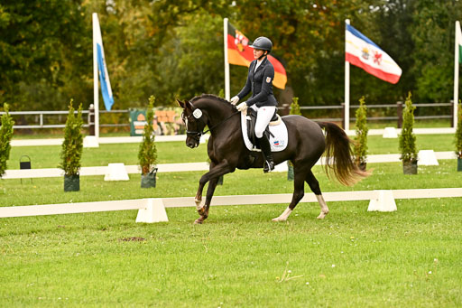 9-12.10.2025 Ströhen | Marlene Mühlenbeck - Starpower Tila_08 