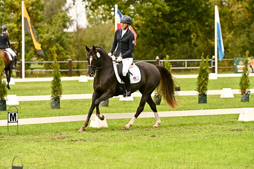 9-12.10.2025 Ströhen | Marlene Mühlenbeck - Starpower Tila_09 