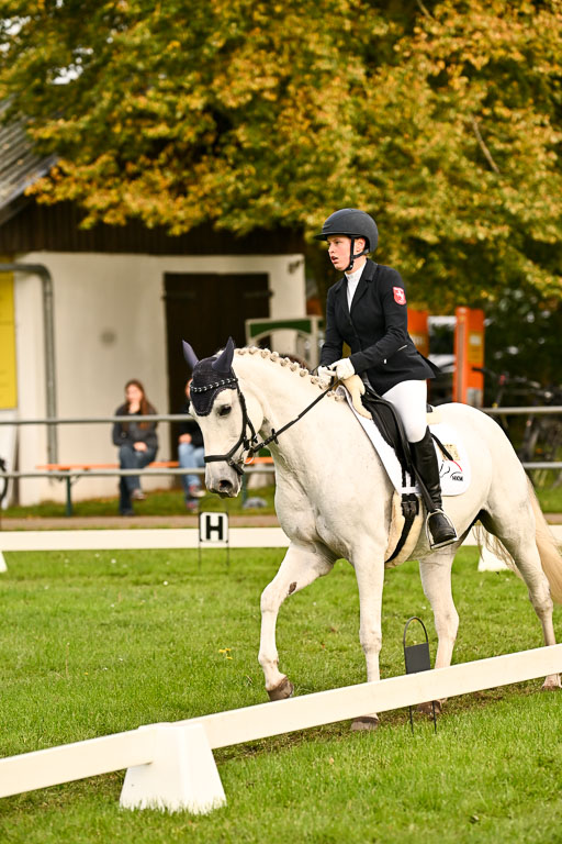 9-12.10.2025 Ströhen | Niehoff, Franziska - Metzallica Sgn_01 