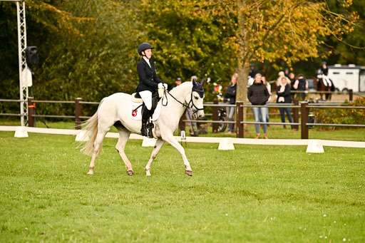 9-12.10.2025 Ströhen | Niehoff, Franziska - Metzallica Sgn_07 