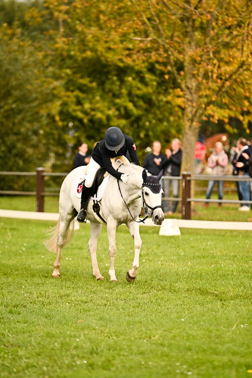 9-12.10.2025 Ströhen | Niehoff, Franziska - Metzallica Sgn_13 
