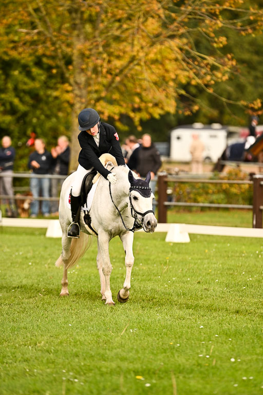 9-12.10.2025 Ströhen | Niehoff, Franziska - Metzallica Sgn_14 