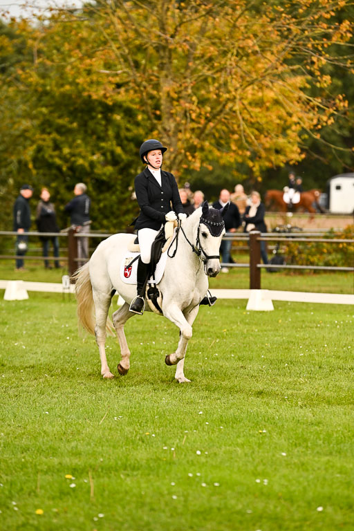 9-12.10.2025 Ströhen | Niehoff, Franziska - Metzallica Sgn_16 