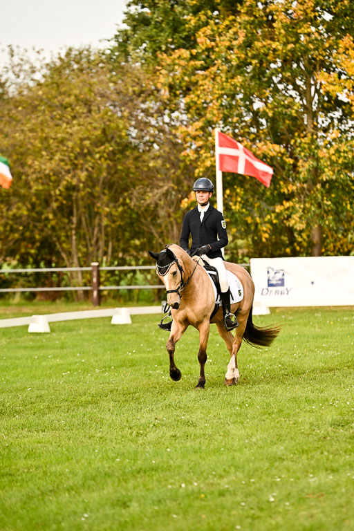 9-12.10.2025 Ströhen | Oscar Gündel - Gucci_01 