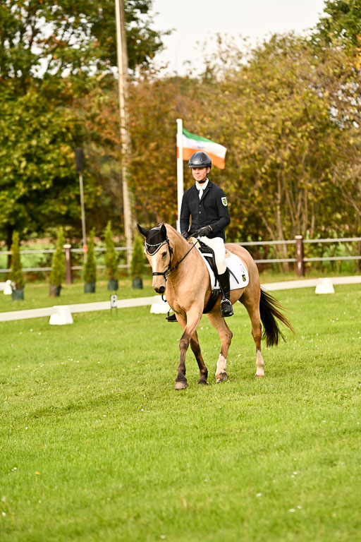 9-12.10.2025 Ströhen | Oscar Gündel - Gucci_02 