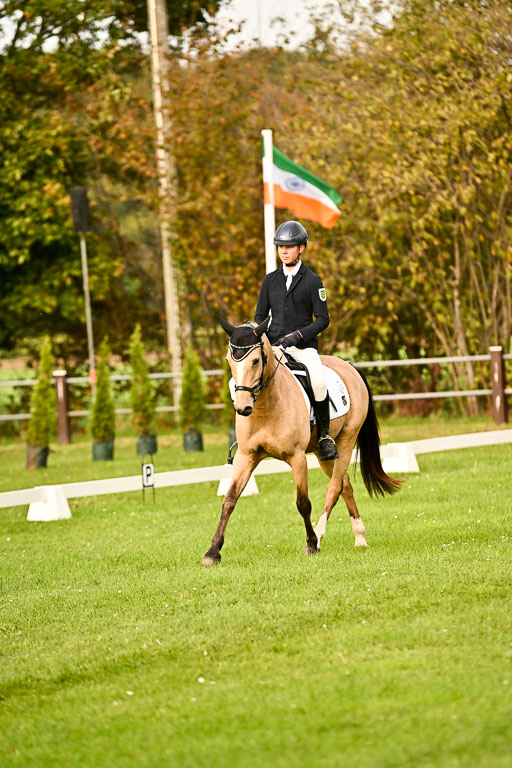 9-12.10.2025 Ströhen | Oscar Gündel - Gucci_04 