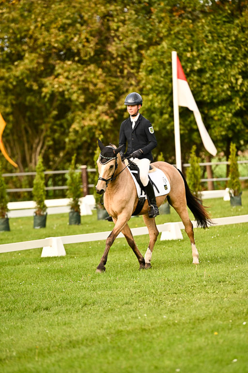 9-12.10.2025 Ströhen | Oscar Gündel - Gucci_05 