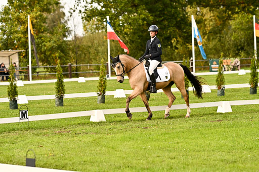 9-12.10.2025 Ströhen | Oscar Gündel - Gucci_06 