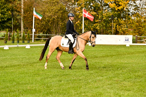 9-12.10.2025 Ströhen | Oscar Gündel - Gucci_07 