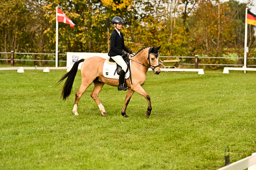 9-12.10.2025 Ströhen | Oscar Gündel - Gucci_08 