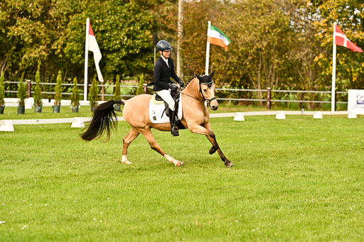 9-12.10.2025 Ströhen | Oscar Gündel - Gucci_09 