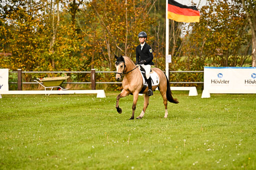 9-12.10.2025 Ströhen | Oscar Gündel - Gucci_10 