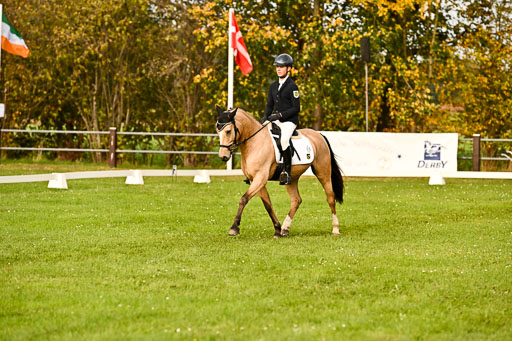 9-12.10.2025 Ströhen | Oscar Gündel - Gucci_11 