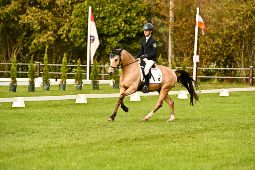 9-12.10.2025 Ströhen | Oscar Gündel - Gucci_12 