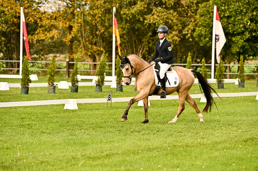 9-12.10.2025 Ströhen | Oscar Gündel - Gucci_13 