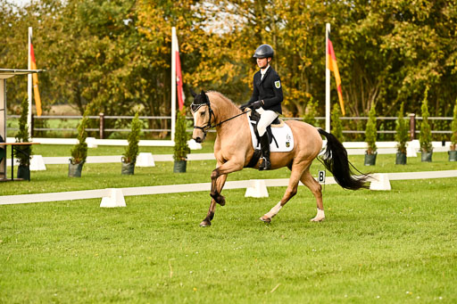 9-12.10.2025 Ströhen | Oscar Gündel - Gucci_14 